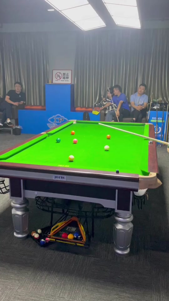 子仰泳领域 子仰泳领域