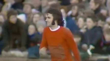 仅展现了林 仅展现了林